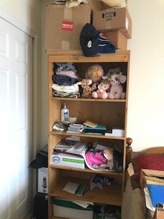 Shelves - Before